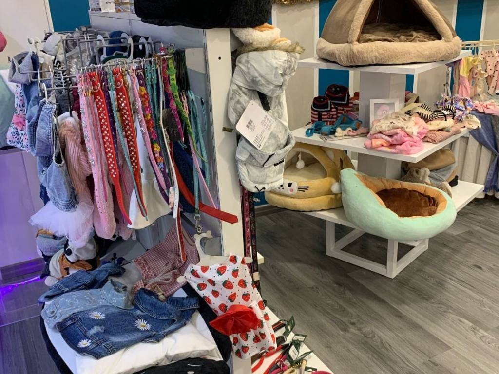 immagine annuncio 2 di 4