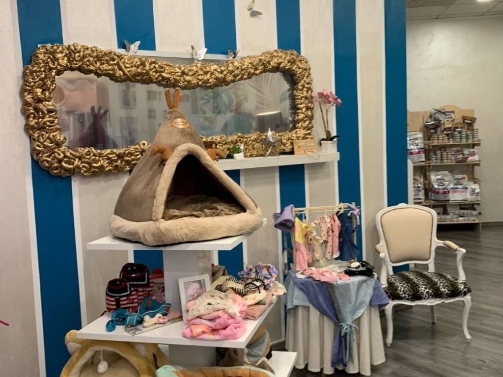 immagine annuncio 3 di 4