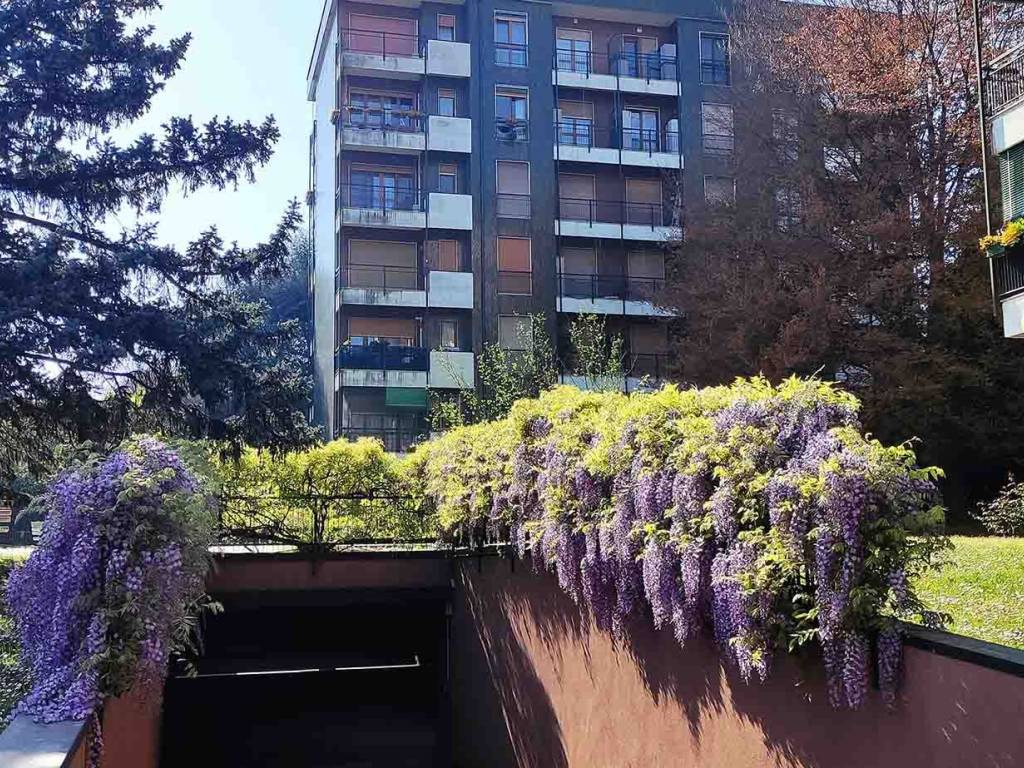 immagine annuncio 2 di 5