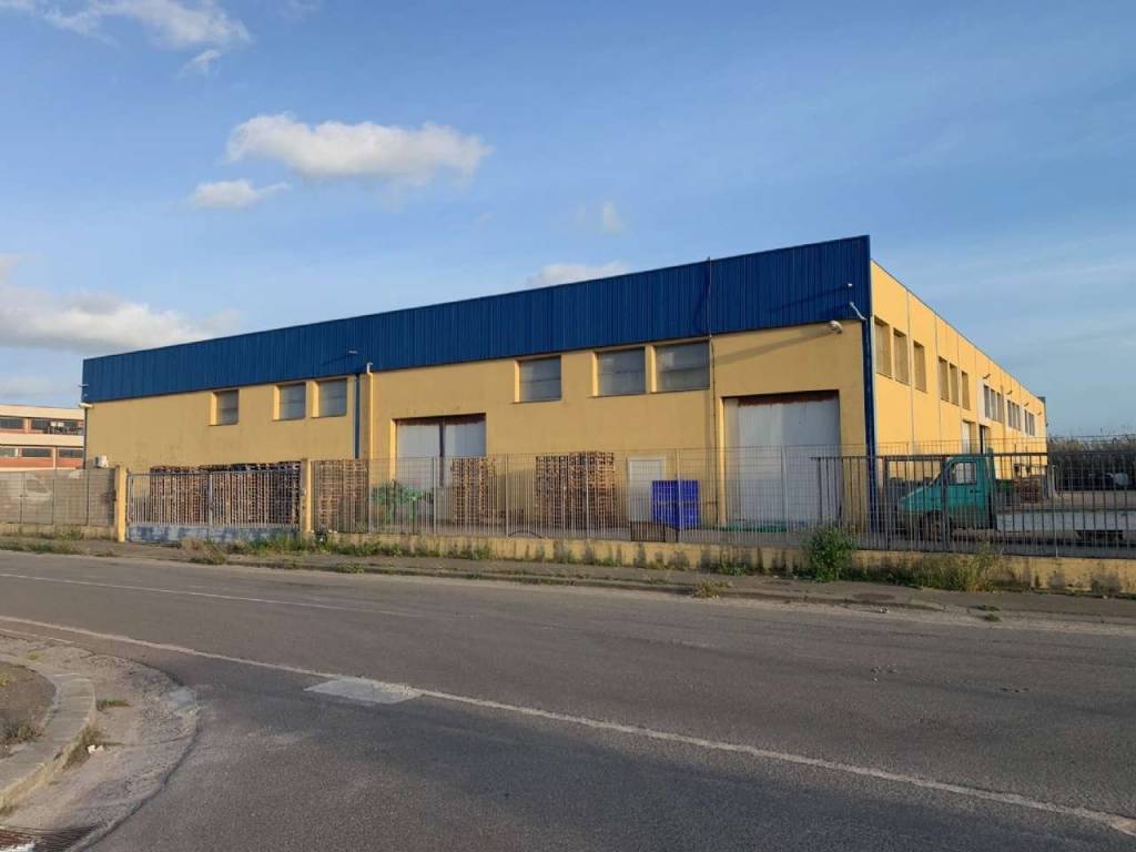 immagine annuncio 1 di 5