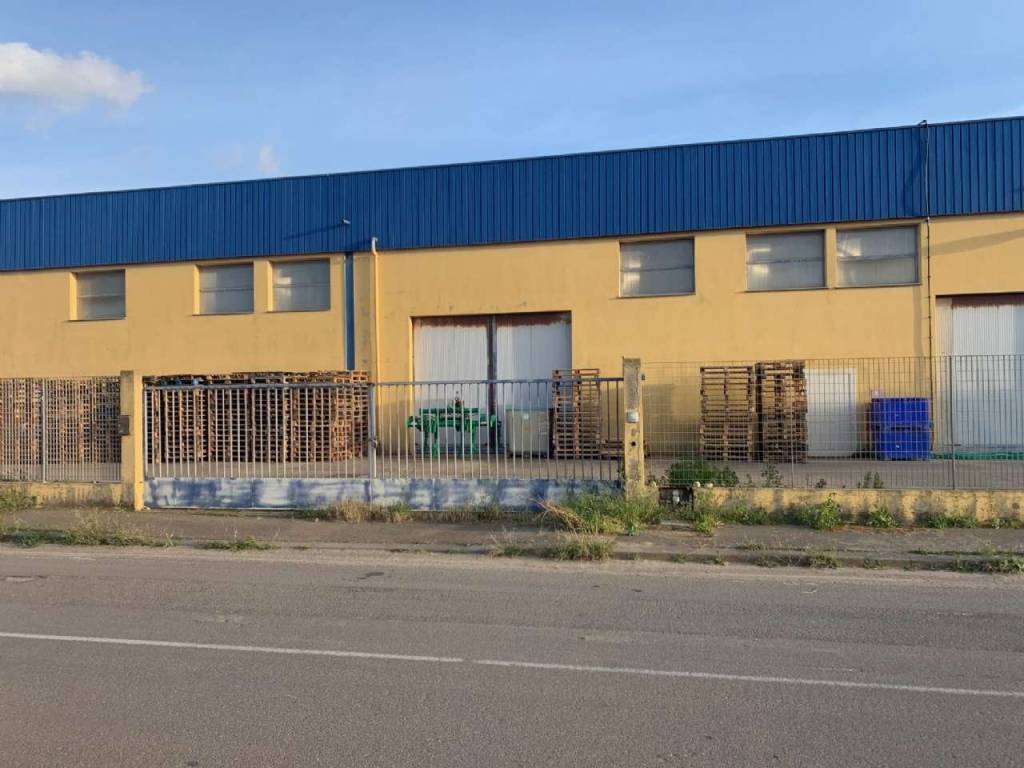 immagine annuncio 2 di 5