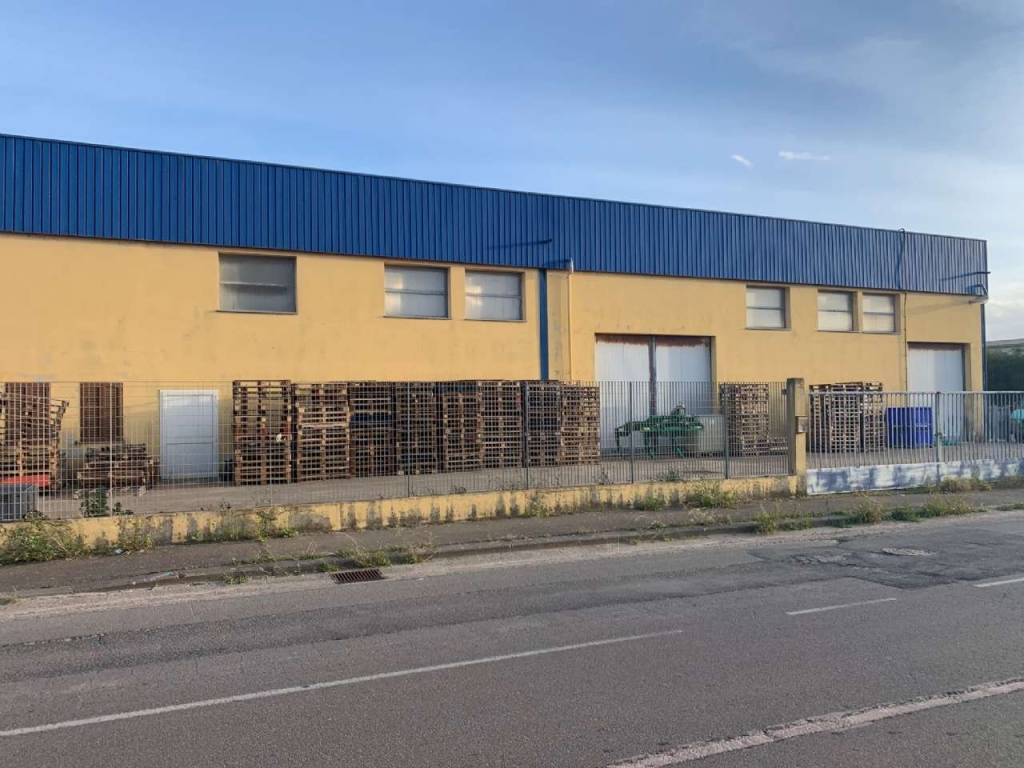 immagine annuncio 3 di 5