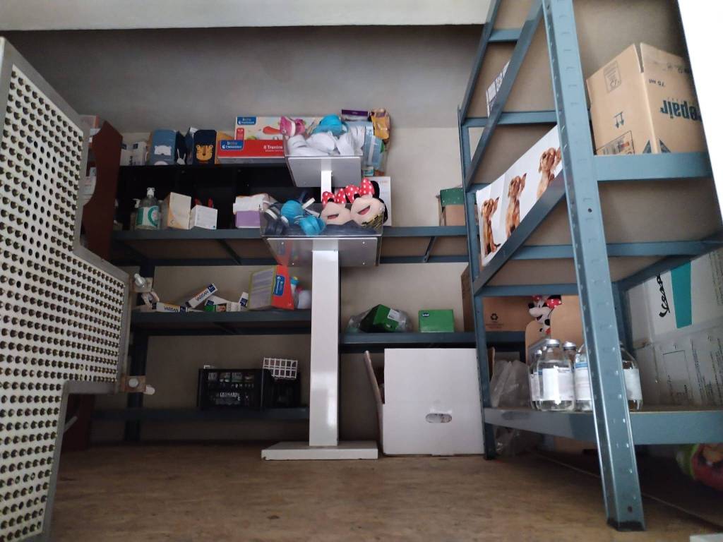 immagine annuncio 2 di 5