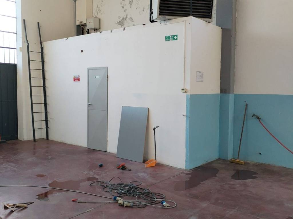 immagine annuncio 1 di 2