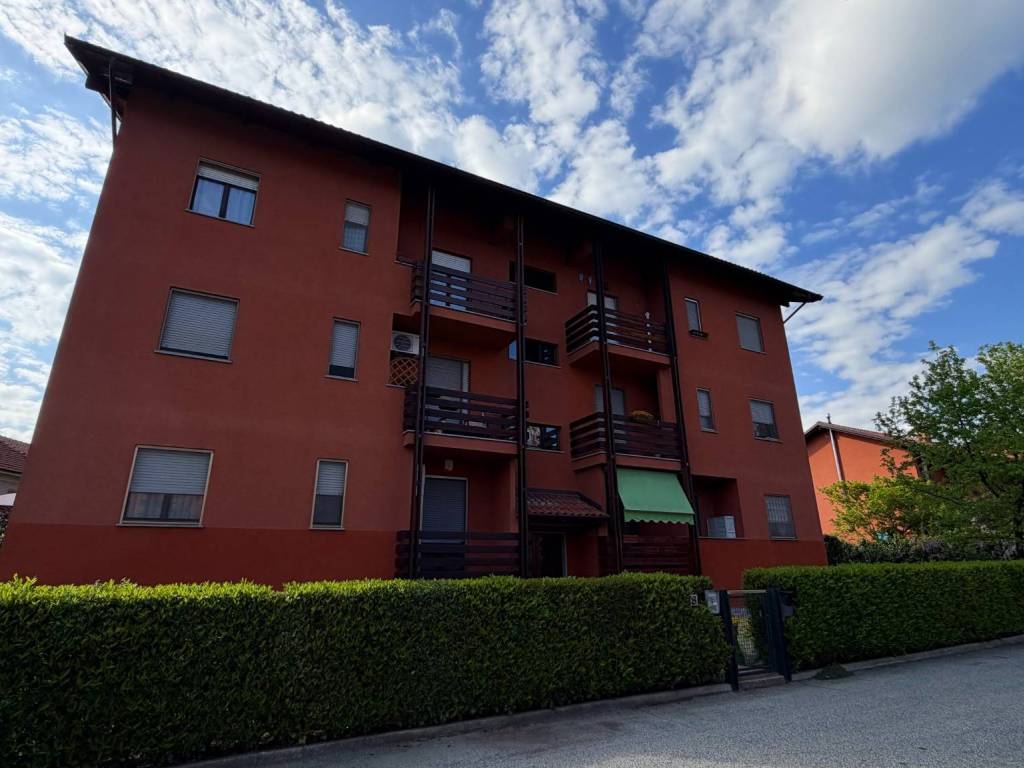 immagine annuncio 2 di 5