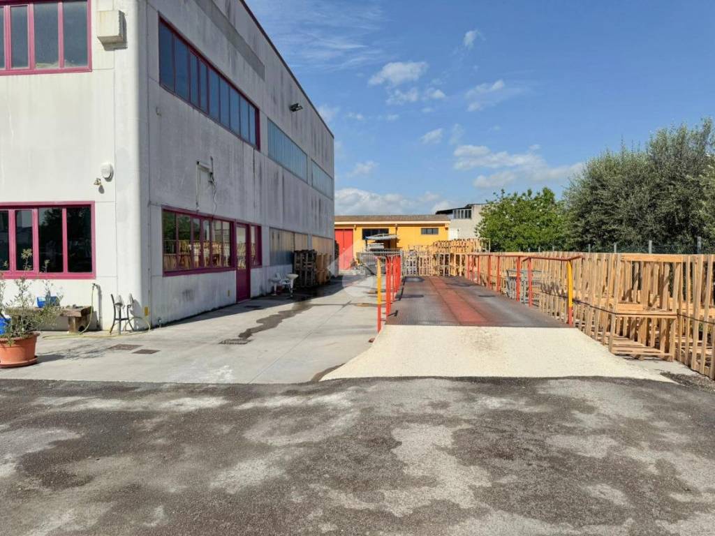 immagine annuncio 2 di 5