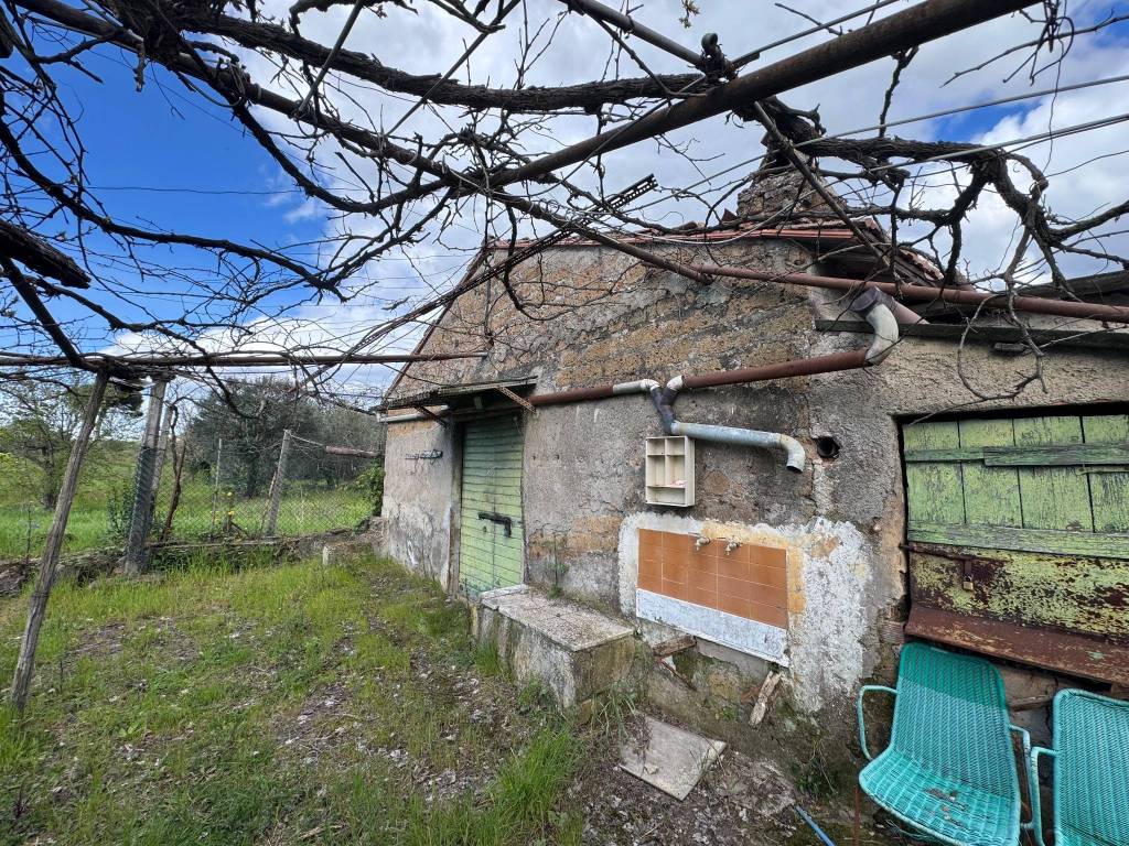 immagine annuncio 1 di 5