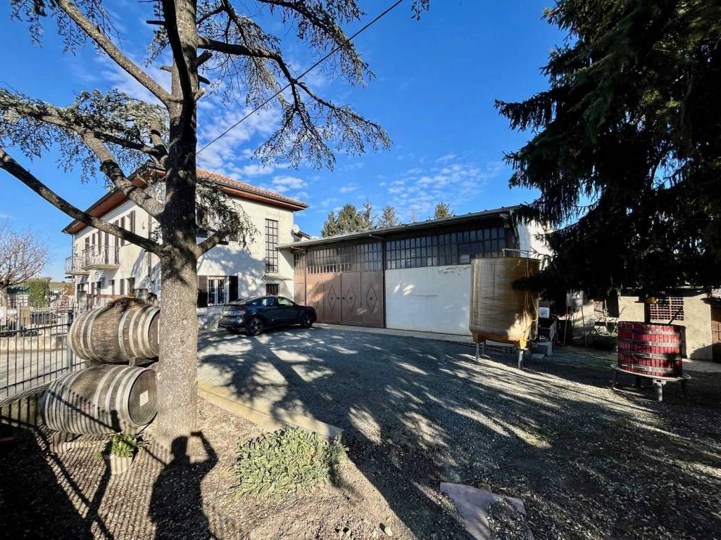 immagine annuncio 2 di 5