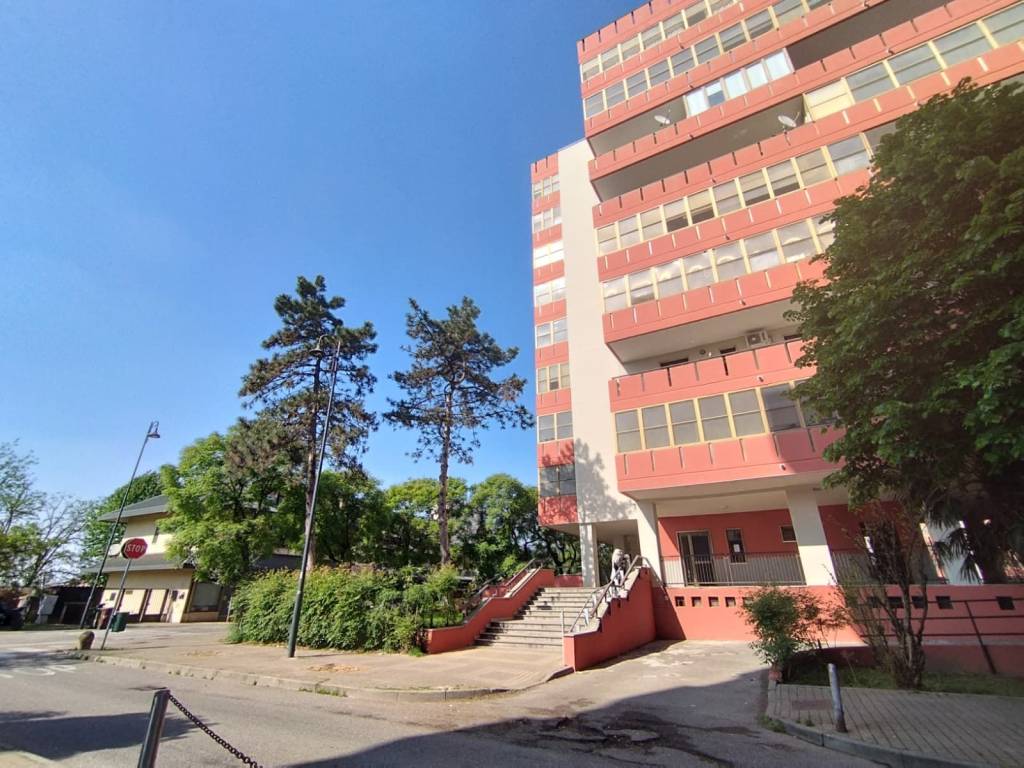 immagine annuncio 2 di 5