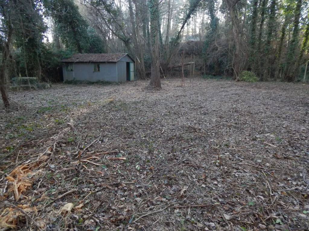 immagine annuncio 2 di 3