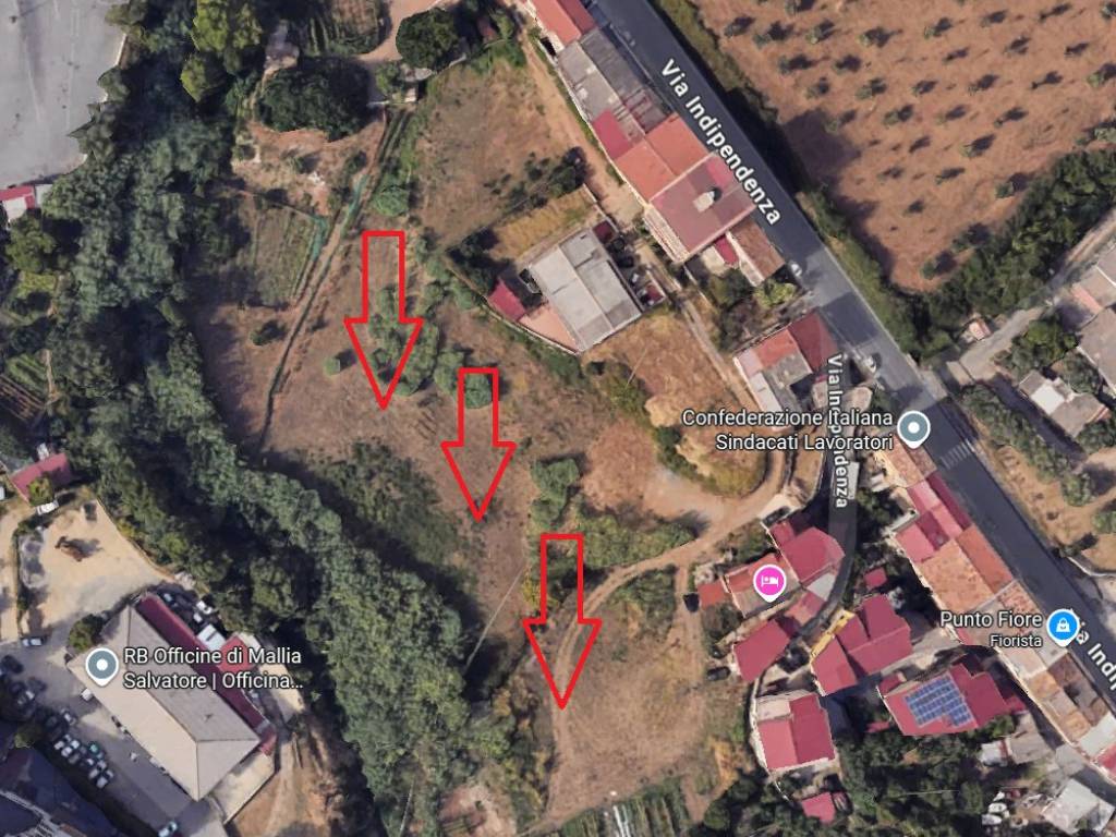 immagine annuncio 1 di 2