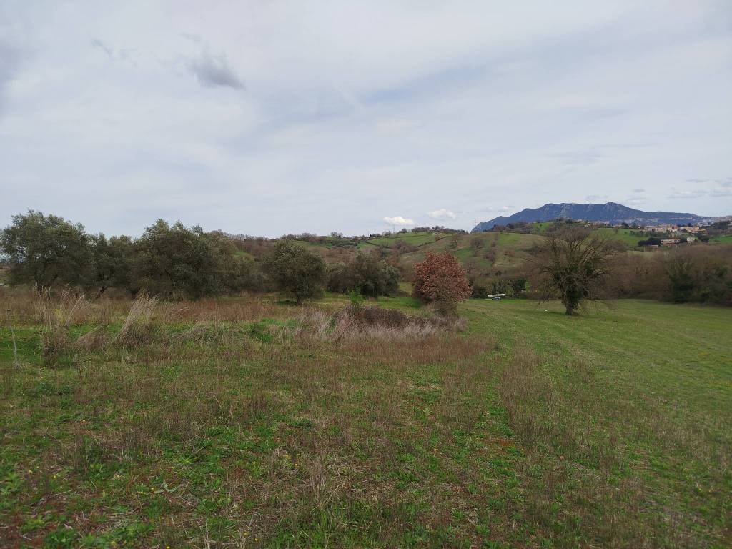 immagine annuncio 1 di 3