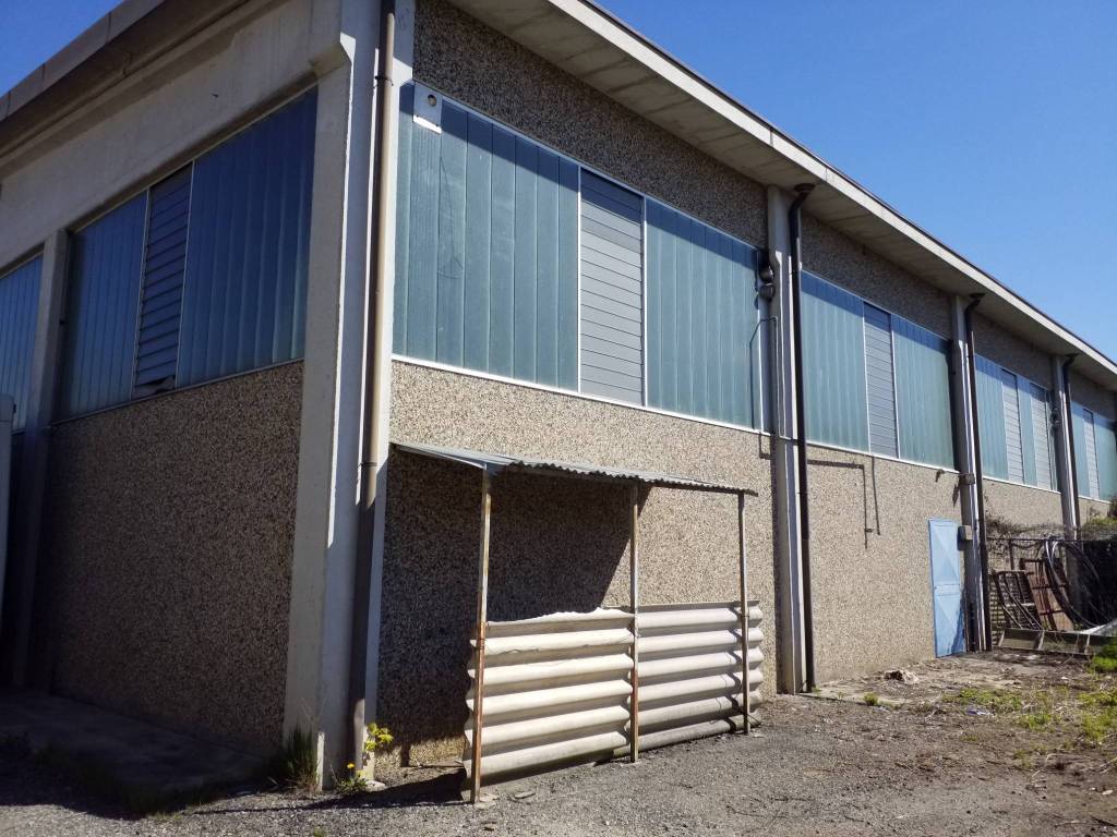 immagine annuncio 4 di 5