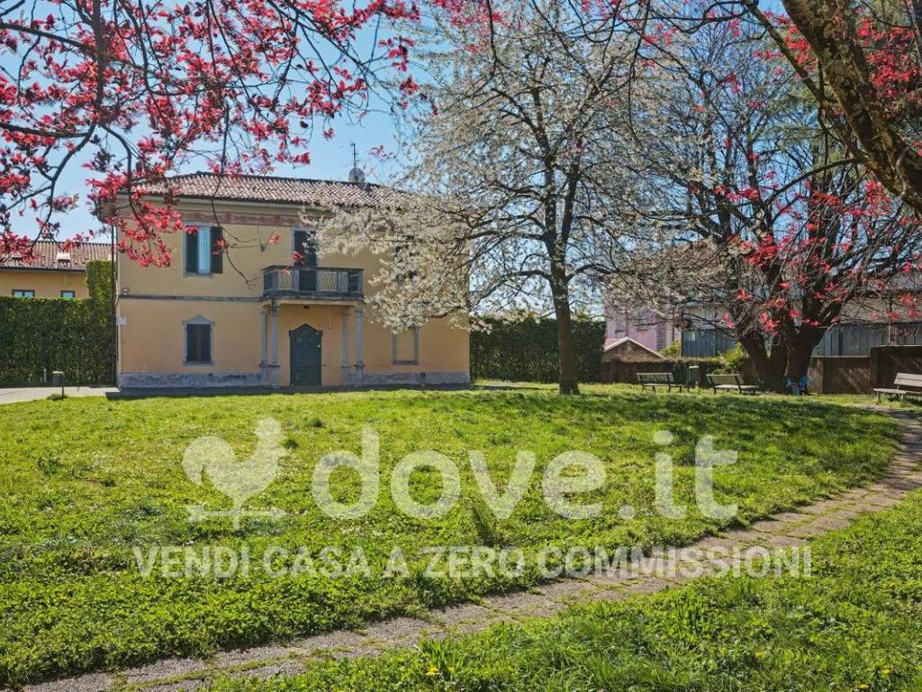 immagine annuncio 1 di 5