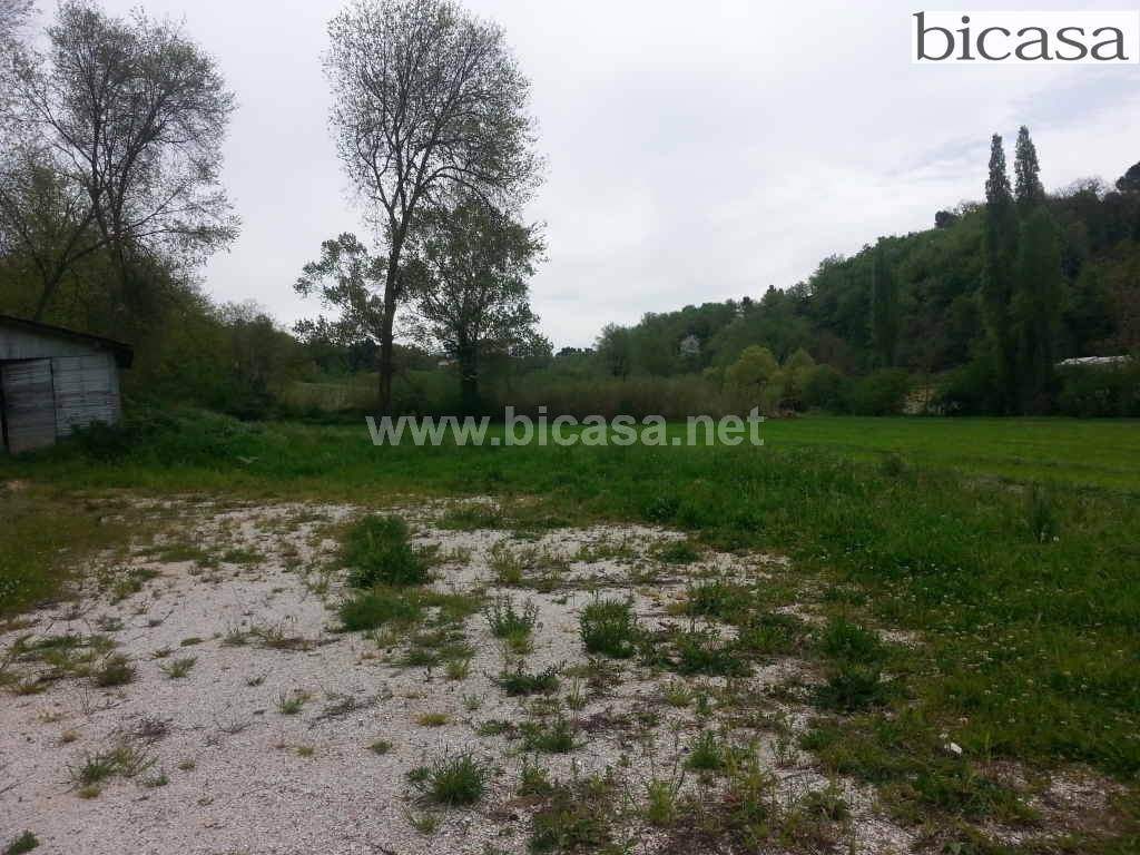 immagine annuncio 2 di 4