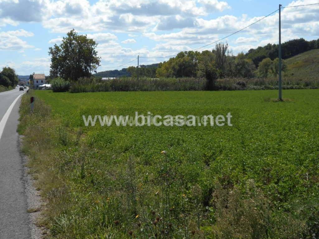 immagine annuncio 1 di 3