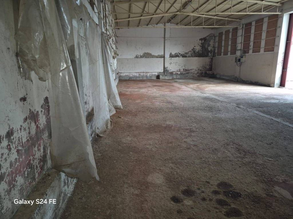 immagine annuncio 3 di 4