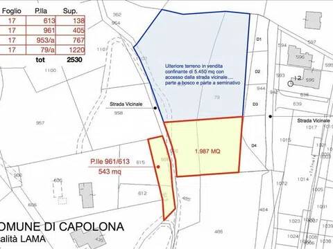 immagine annuncio 3 di 5