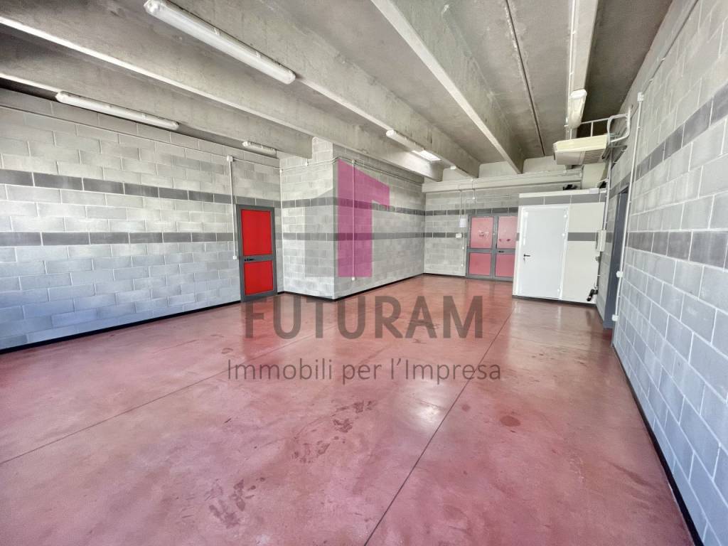 immagine annuncio 4 di 5