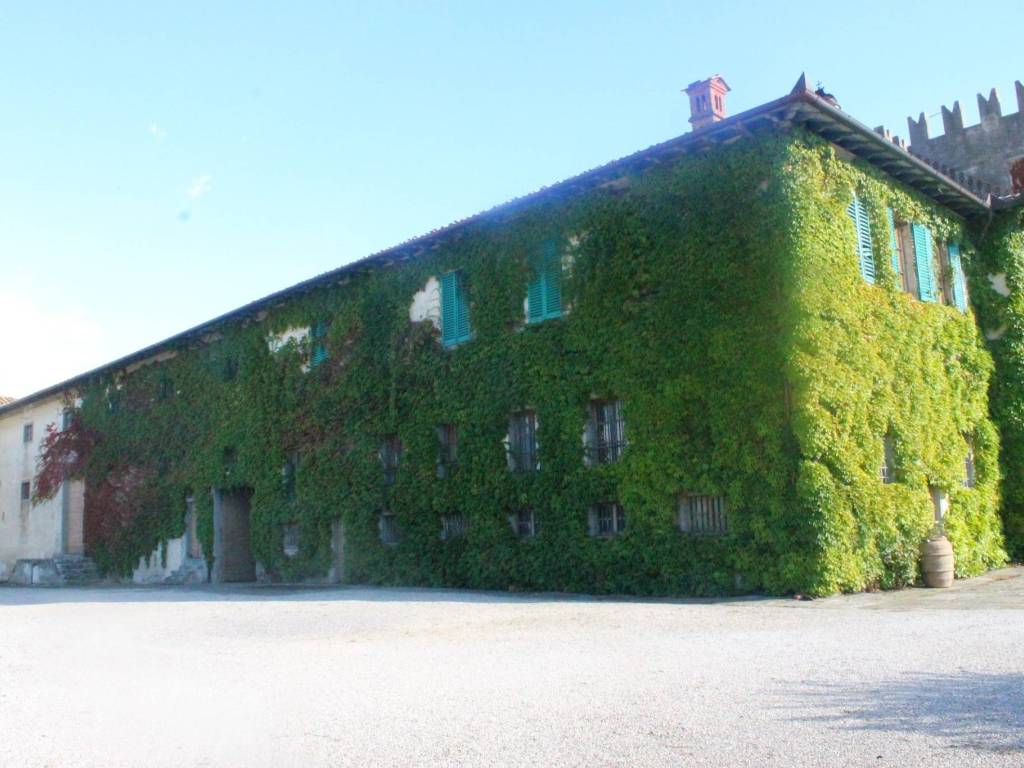 immagine annuncio 2 di 5