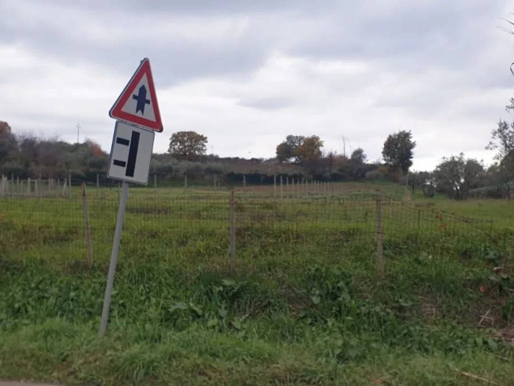 immagine annuncio 2 di 3