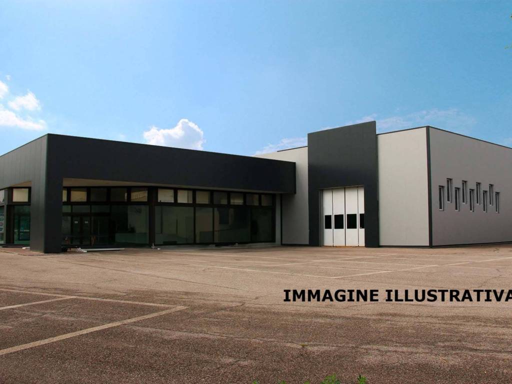 immagine annuncio 4 di 5