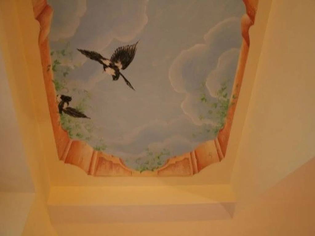 immagine annuncio 2 di 4