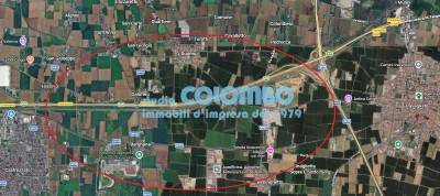 immagine annuncio 2 di 3