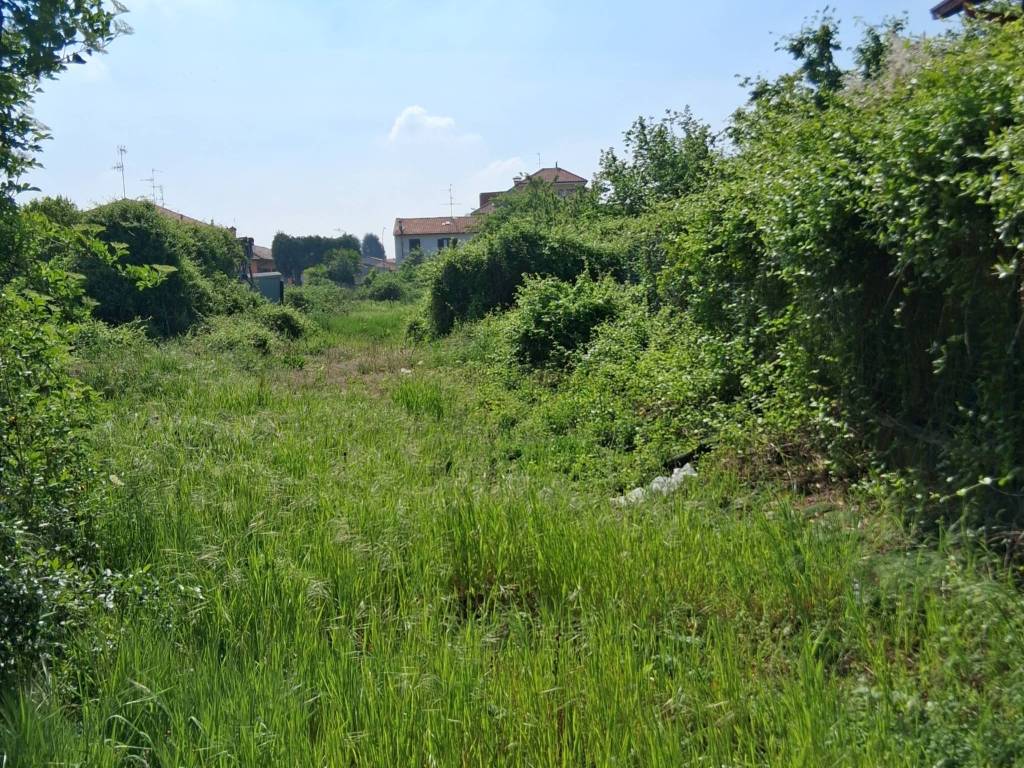 immagine annuncio 2 di 4