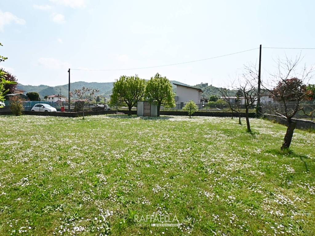 immagine annuncio 2 di 3