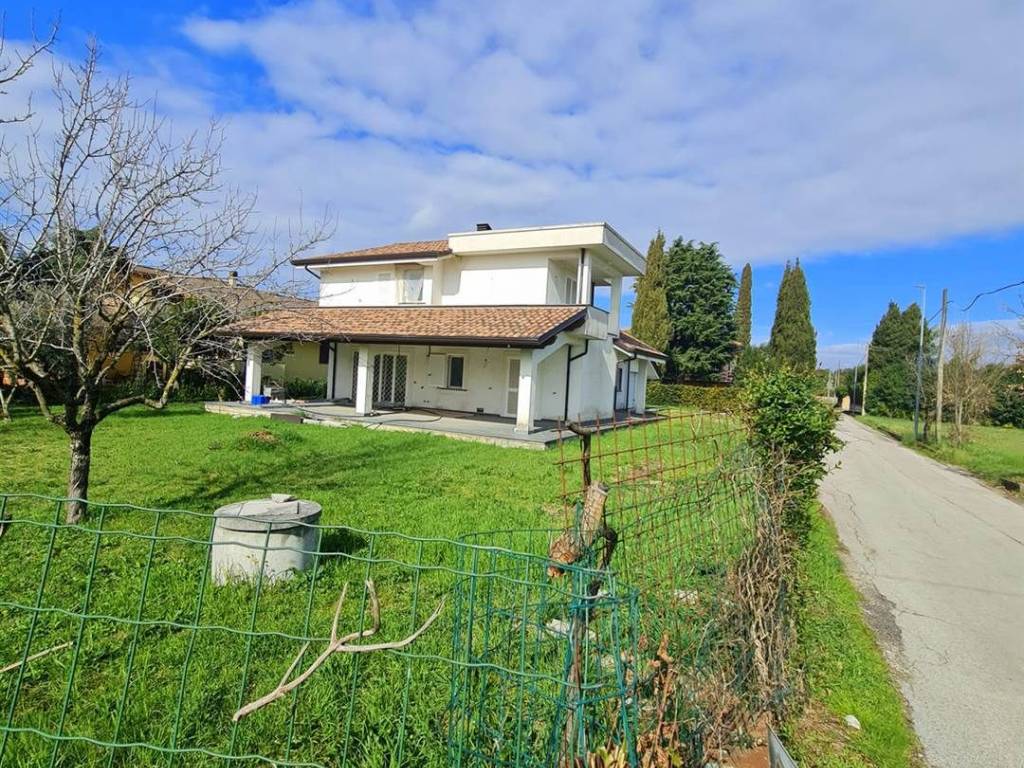 immagine annuncio 2 di 4