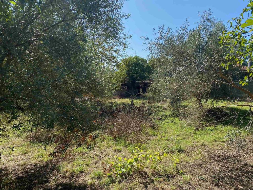 immagine annuncio 1 di 4