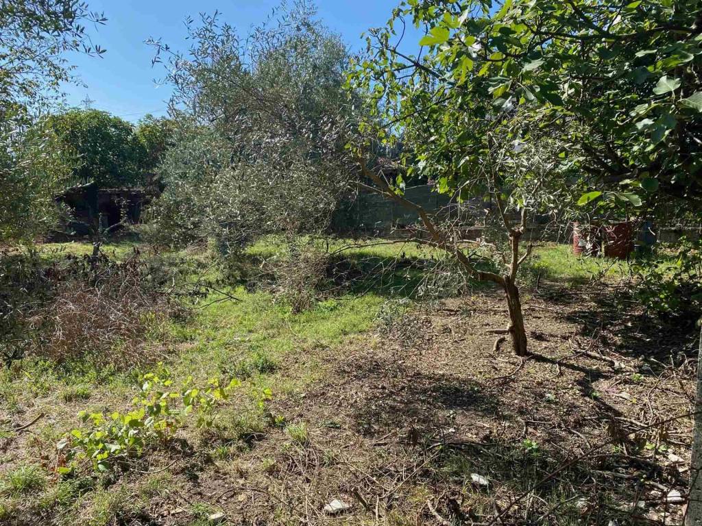 immagine annuncio 3 di 4