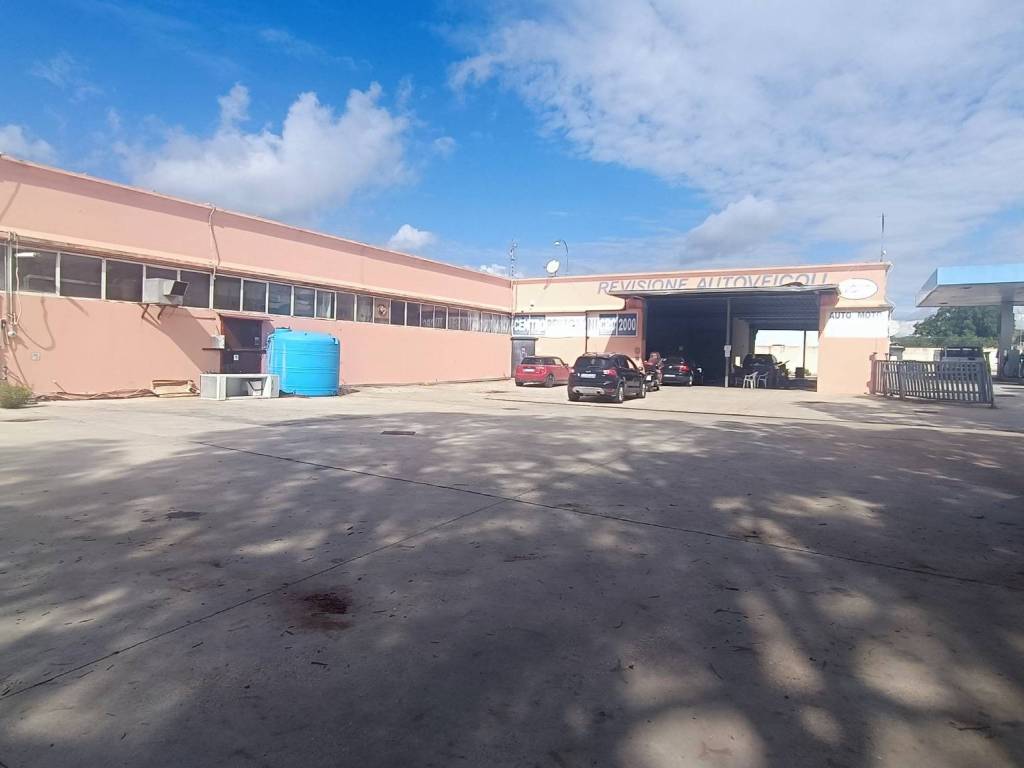 immagine annuncio 2 di 5