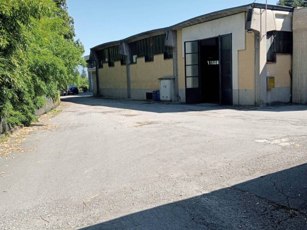 immagine annuncio 2 di 5