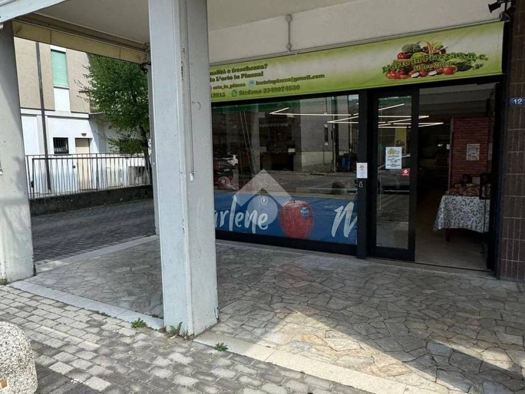 immagine annuncio 1 di 4