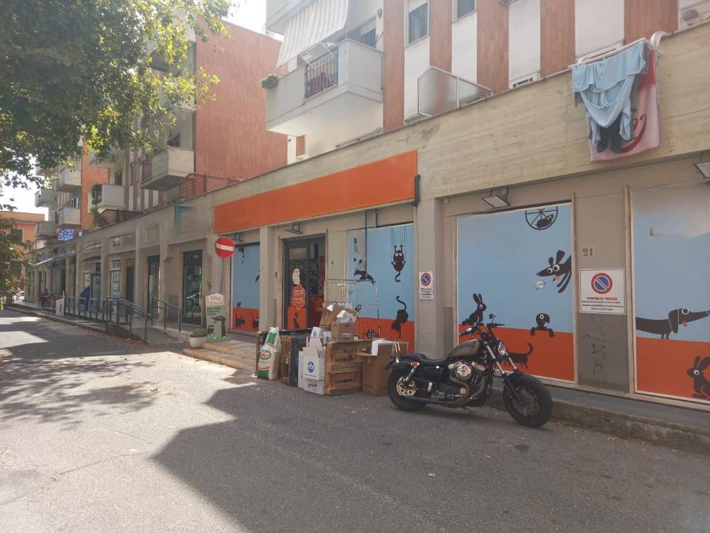 immagine annuncio 1 di 4