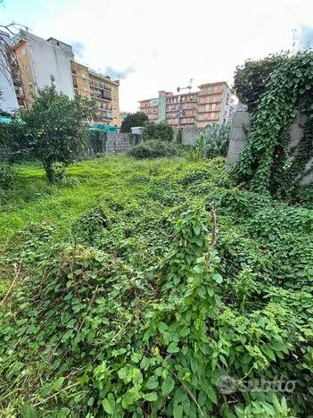 immagine annuncio 1 di 3