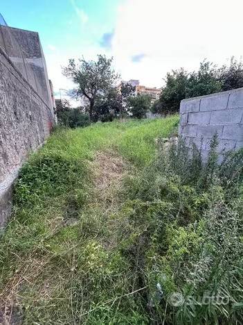 immagine annuncio 2 di 3