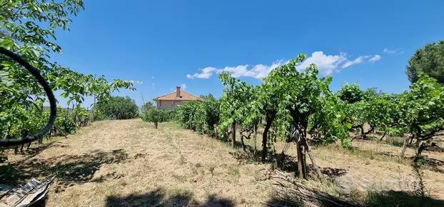 immagine annuncio 2 di 5