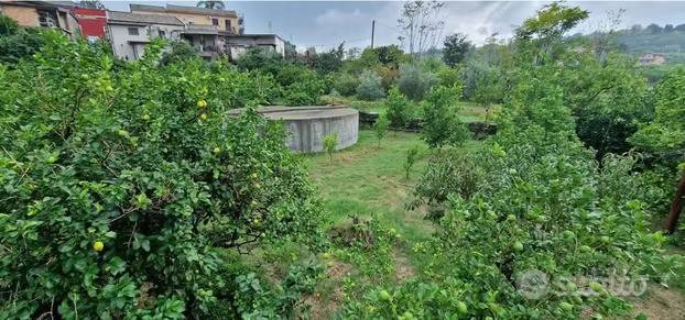 immagine annuncio 1 di 3