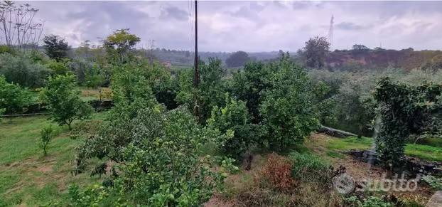 immagine annuncio 2 di 3