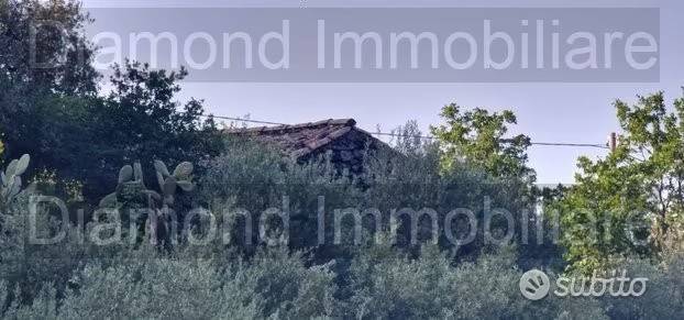 immagine annuncio 2 di 3