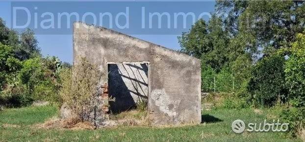 immagine annuncio 2 di 4