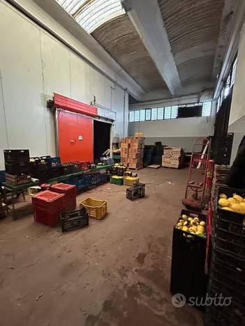 immagine annuncio 1 di 4