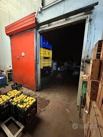 immagine annuncio 2 di 4