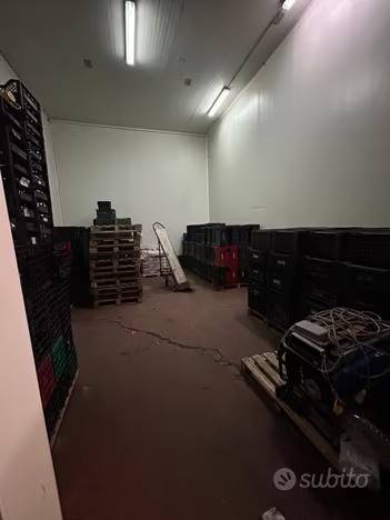 immagine annuncio 3 di 4