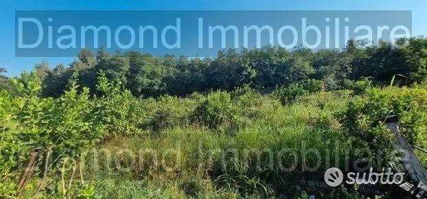 immagine annuncio 1 di 3