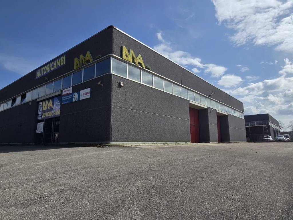 immagine annuncio 1 di 5