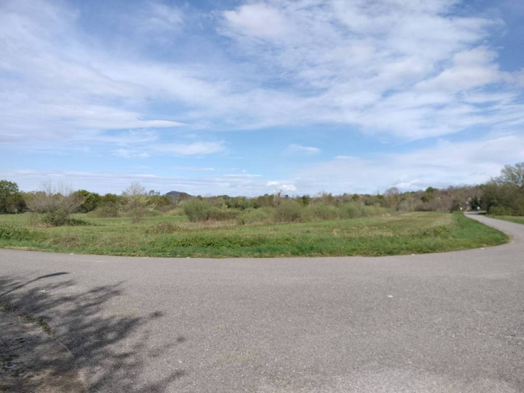 immagine annuncio 1 di 3